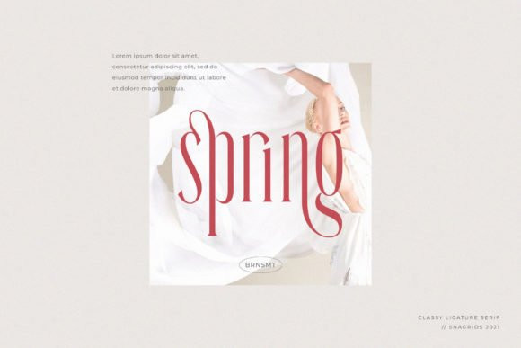 Snagrids Serif Font