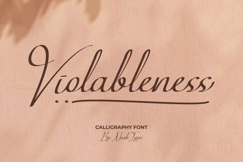 Violableness Script Font