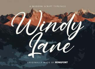 Windy Lane Script Font