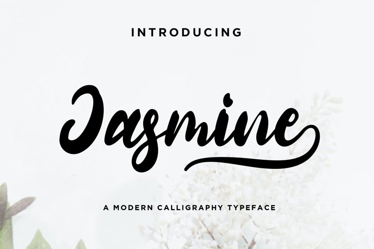 Jasmine Script Font