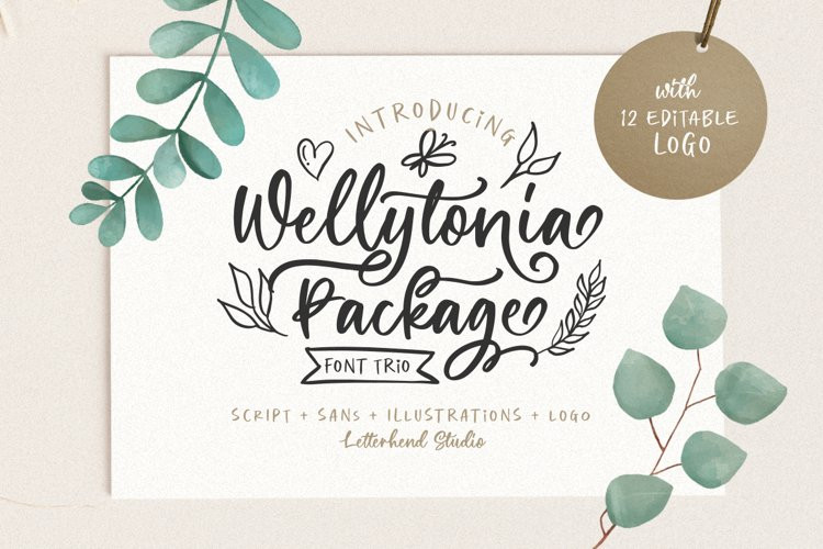 Wellytonia Script Font