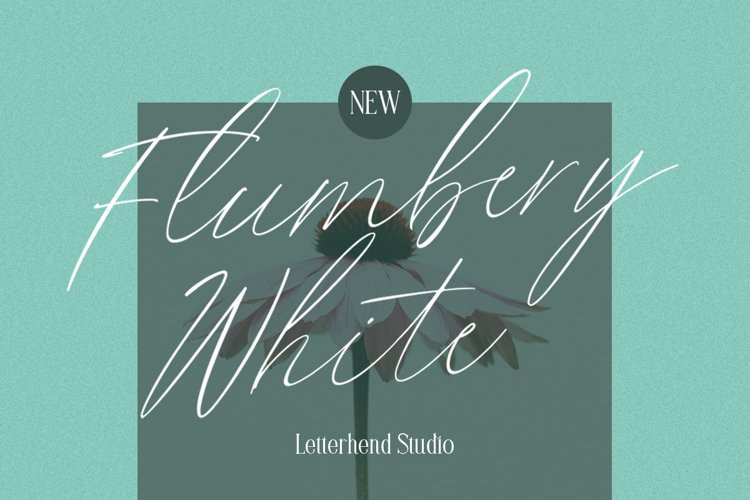 Flumbery White Script Font