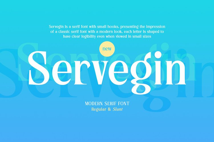 Servegin Serif Font