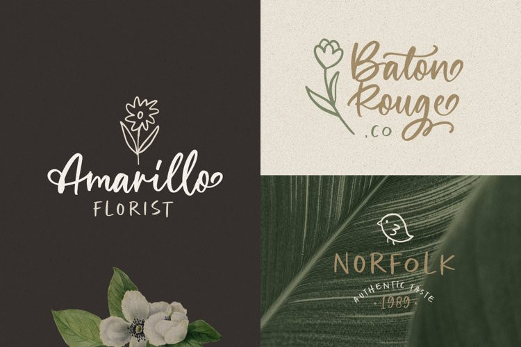 Wellytonia Script Font