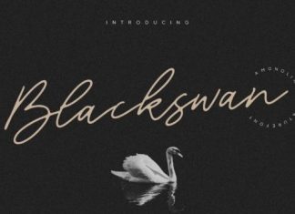 Blackswan Handwritten Font