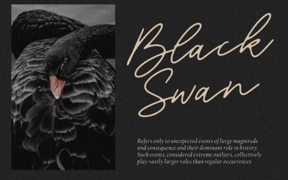 Blackswan Handwritten Font