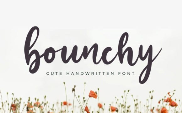 Bounchy Script Font