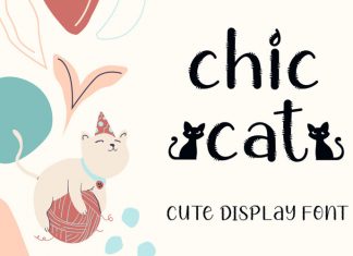Chic Cat Display Font