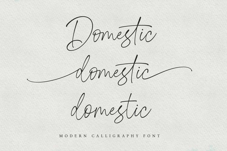 Domestic Script Font