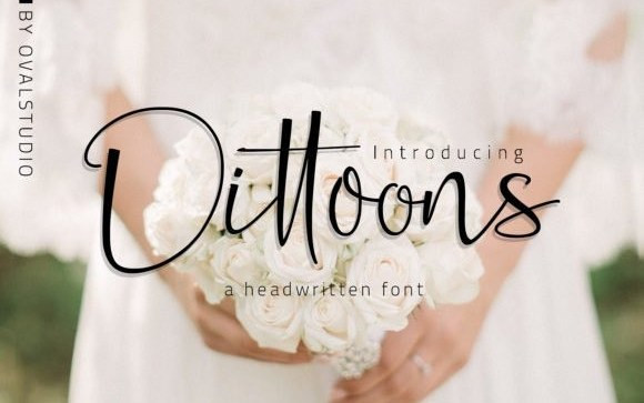 Dittoons Script Font