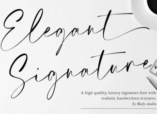 Elegant Signature Script Font