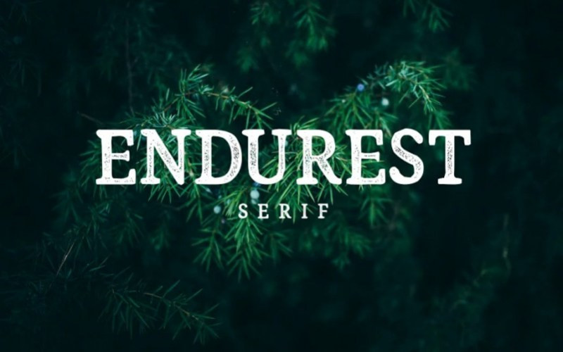 Endurest Display Font