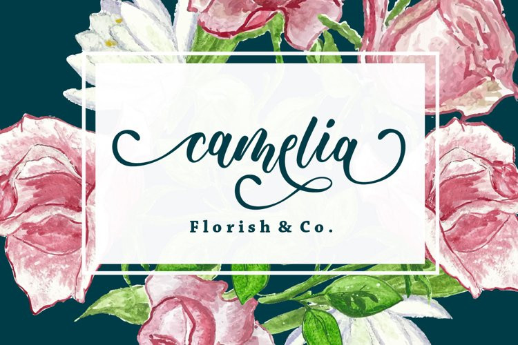 Delicia Calligraphy Font