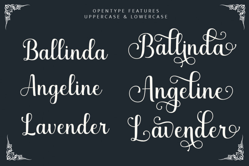 Marchila Script Font