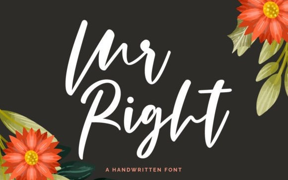 Mr Right Script Font