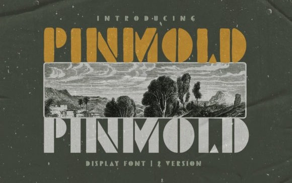 Pinmold Display Font