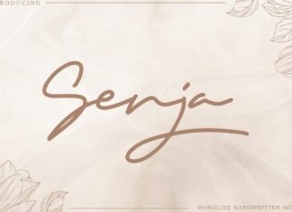 Senja Script Font
