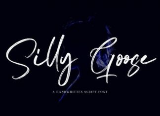 Silly Goose Brush Font