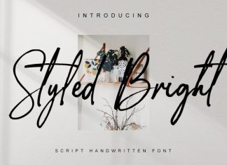 Styled Bright Script Font