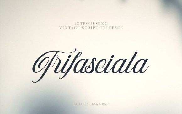Trifasciata Calligraphy Font