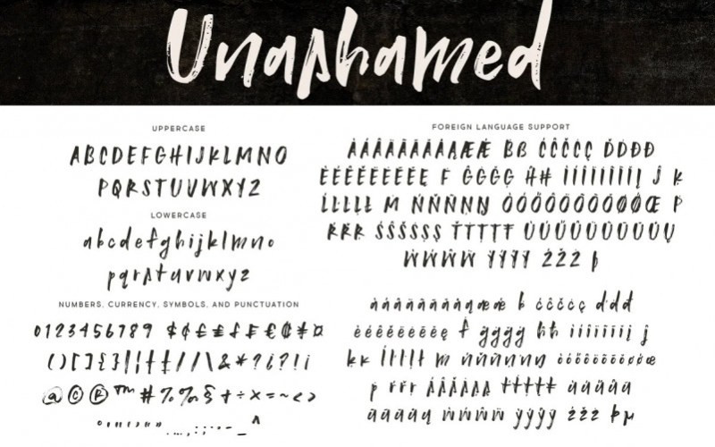 Unashamed Brush Font