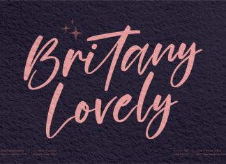 Britany Lovely Script Font