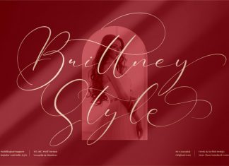 Brittney Style Script Font