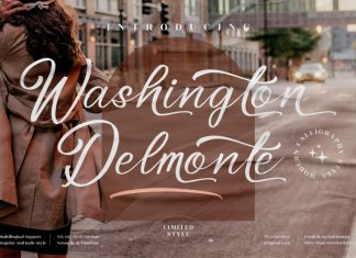 Washington Delmonte Calligraphy Font