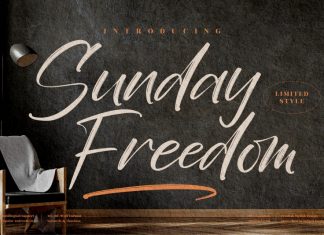 Sunday Freedom Brush Font