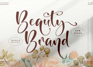 Beauty Brand Script Font