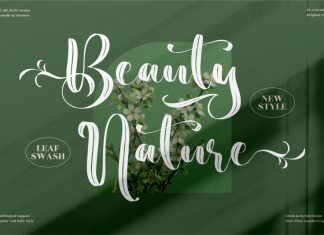 Beauty Nature Brush Font