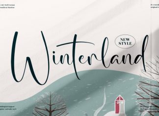 Winterland Script Font
