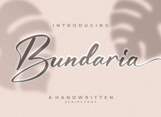 Bundaria Script Font