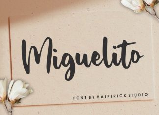 Miguelito Script Font