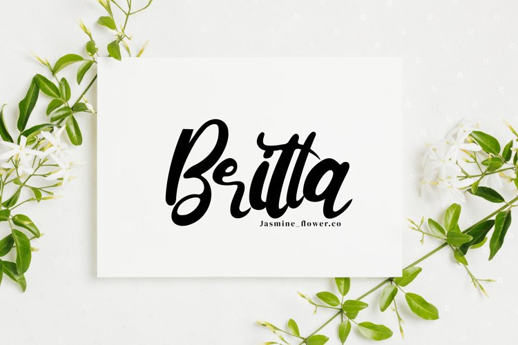 Ketty & Cutte Script Font