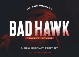 Bad Hawk Display Font