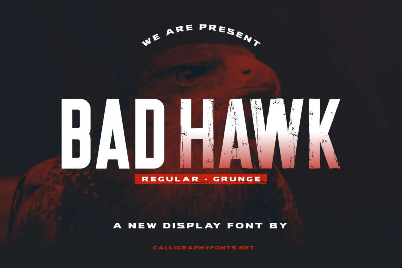 Bad Hawk Display Font