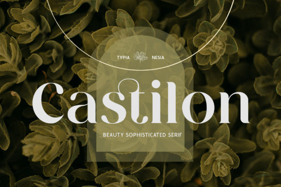 Castilon Serif Font