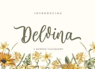 Delvina Script Font