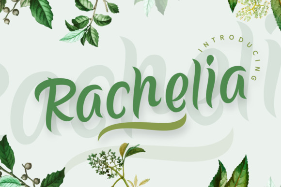 Rachelia Script Font