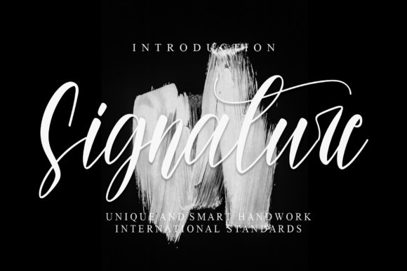 Signature Script Typeface