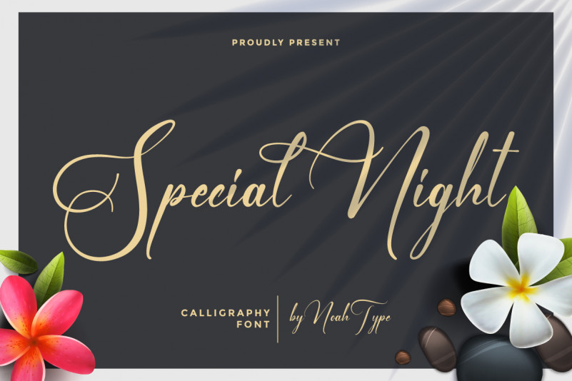 Special Night Calligraphy Font