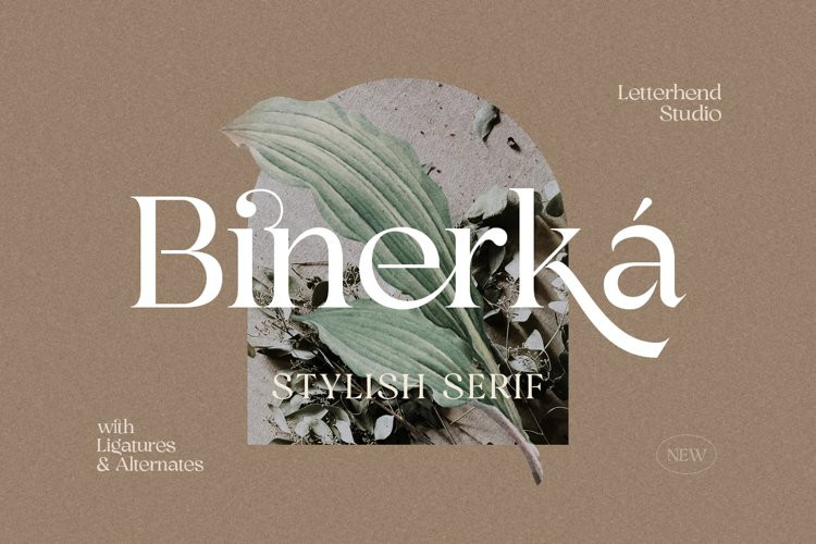 Binerka Serif Font