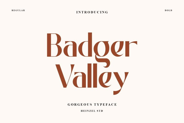 Badger Valley Sans Serif Font