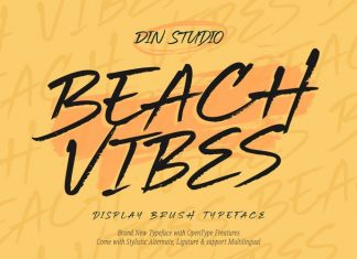 Beach Vibes Brush Font