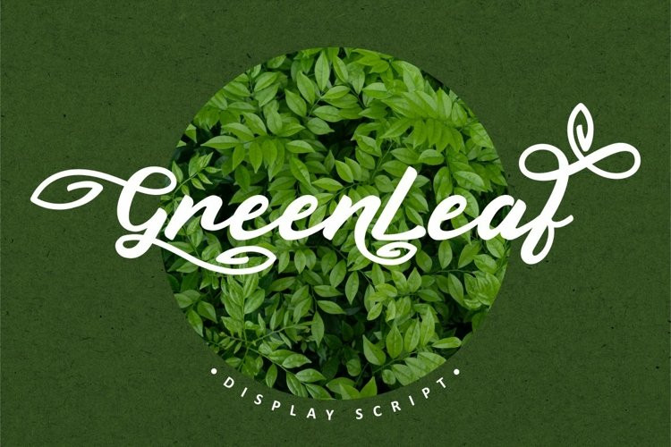 Greenleaf Calligraphy Font