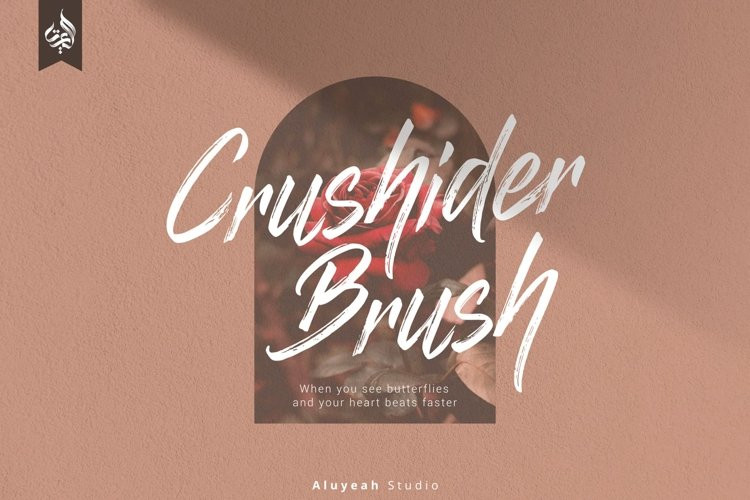 Crushider Brush Font