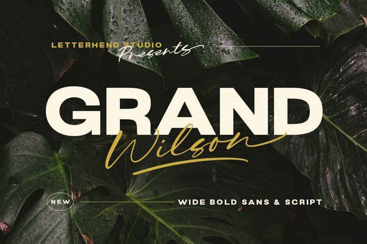 Grand Wilson Sans Serif Font