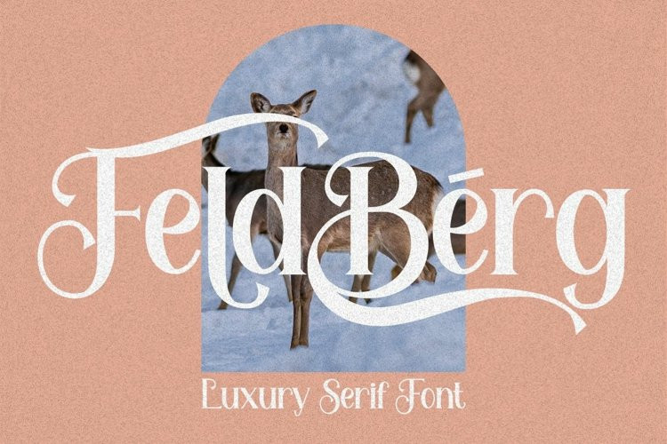 Feldberg Serif Font