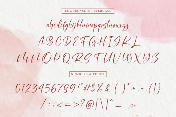 Raissey Script Font